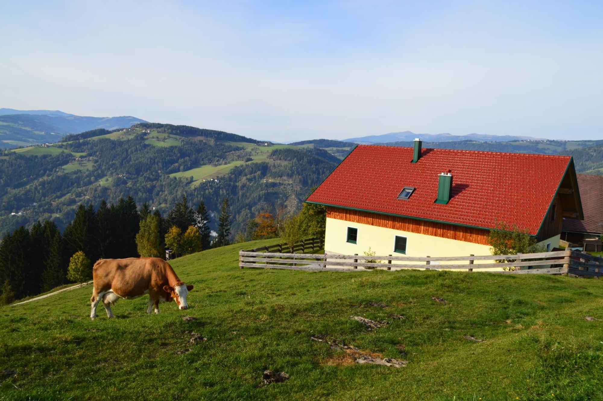 Almferienhaus Russmann Frantschach 外观 照片